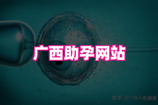 nub孕网 2