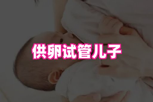 nub孕网 4